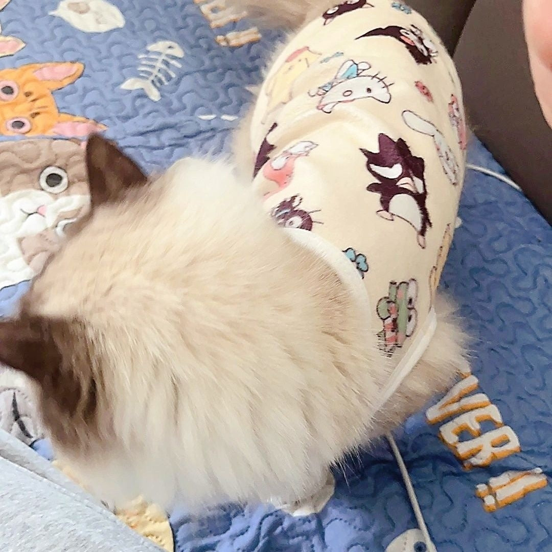 Cat Clothes Spring Summer New Small Pet Dog Clothes Puppy Special Cute Cartoon Anti-Shedding Vest Anti-Hair Loss
