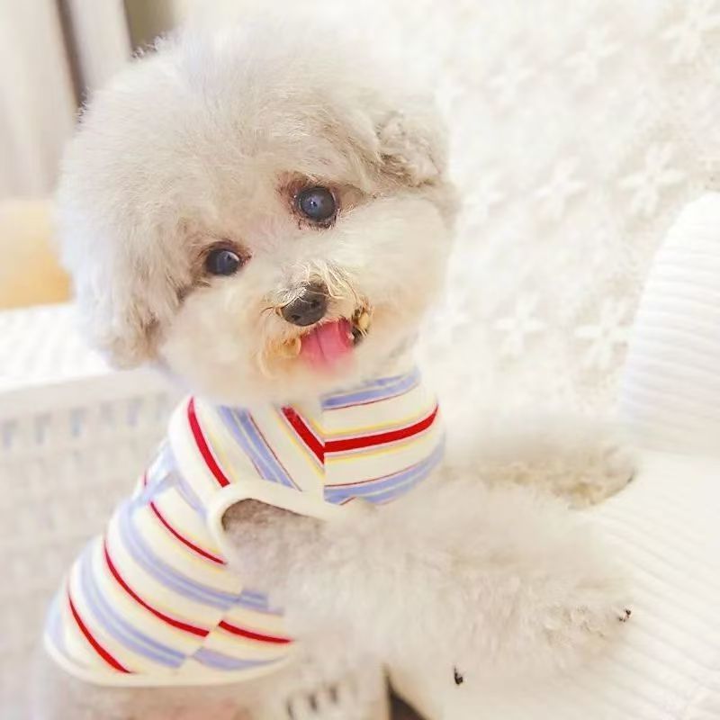 Pet Cat Bichon Small Dog Teddy Dog Clothes Indoor Vest Striped Clothes Cheap Clearance